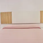 Alonso * 콘일데라프론테라